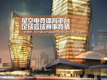 案例展示三